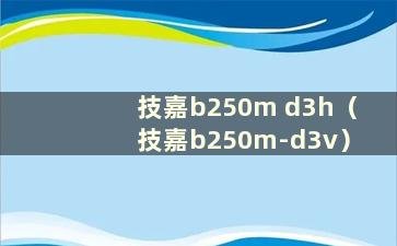 技嘉b250m d3h（技嘉b250m-d3v）